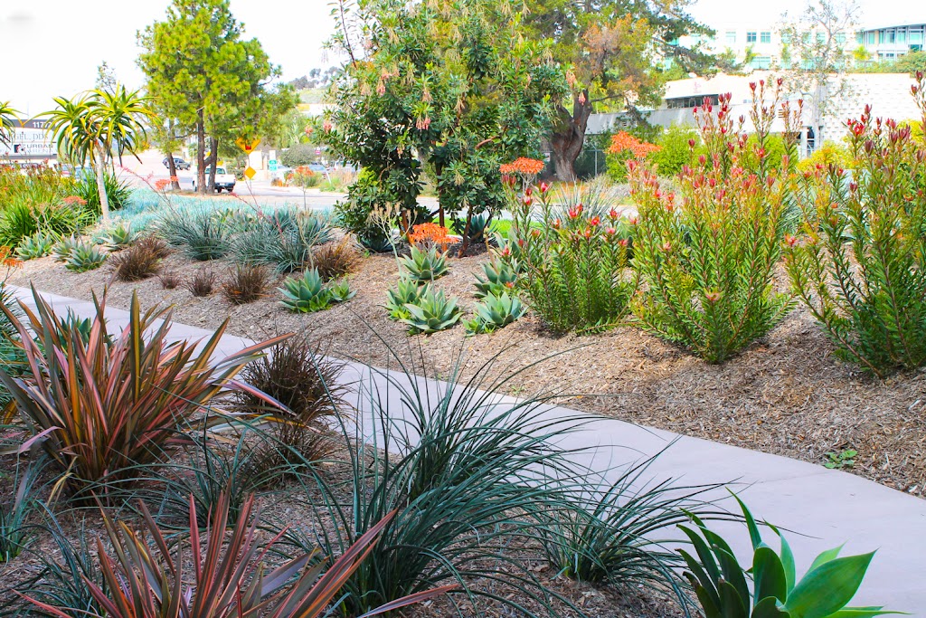 Heaviland Landscape Management | 2180 La Mirada Dr, Vista, CA 92081, USA | Phone: (760) 598-7065