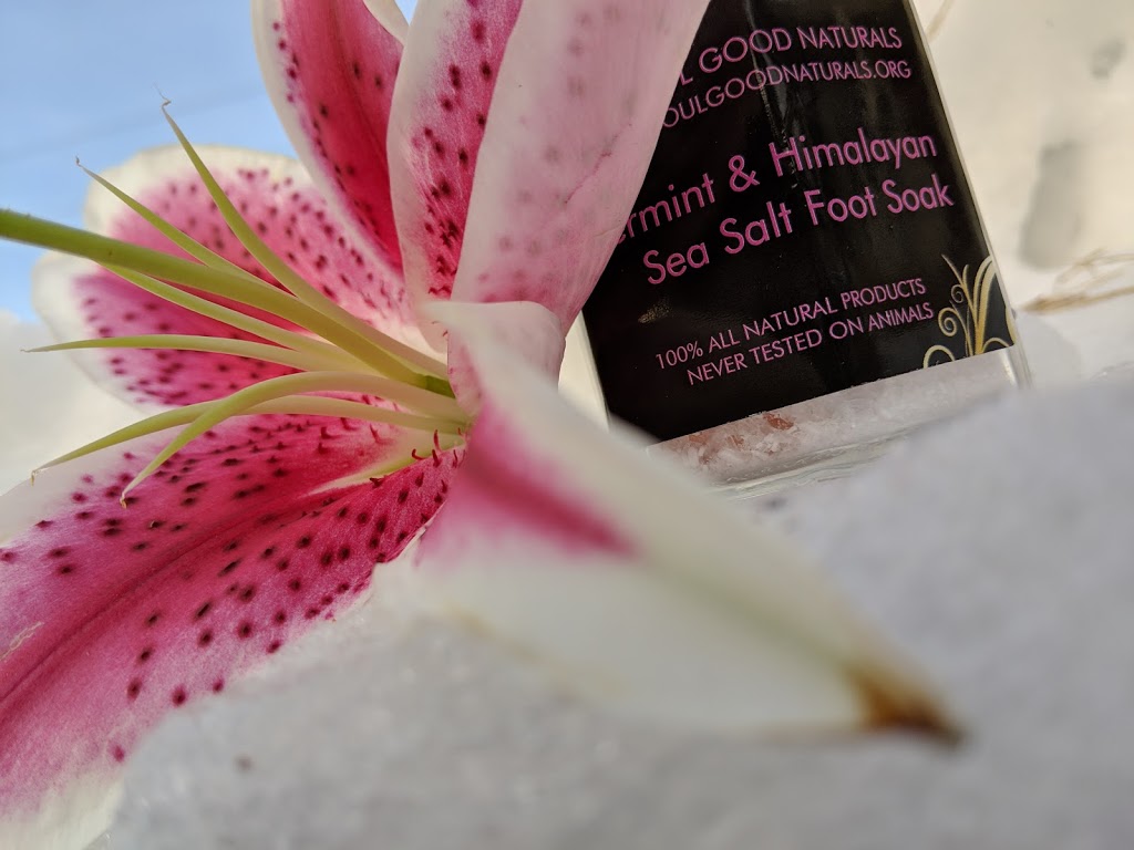 Soul Good Naturals | 343 Alsobrook St, Kirkwood, MO 63122, USA | Phone: (314) 858-1847