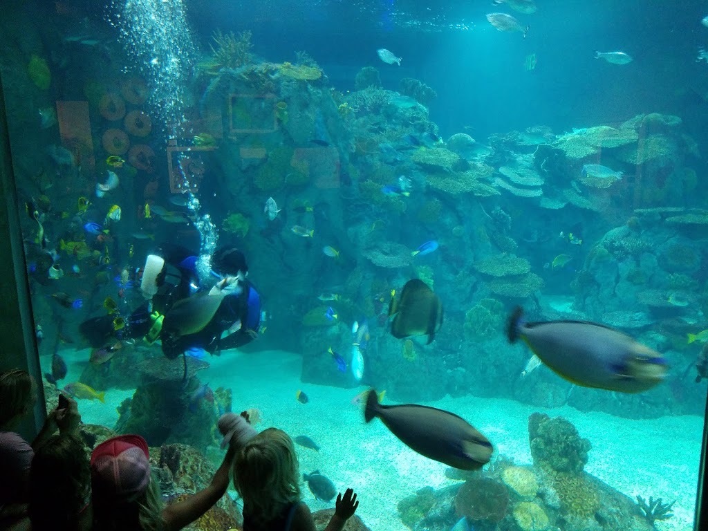 Toledo Zoo Aquarium | 2700 Broadway St, Toledo, OH 43609, USA | Phone: (419) 385-5721