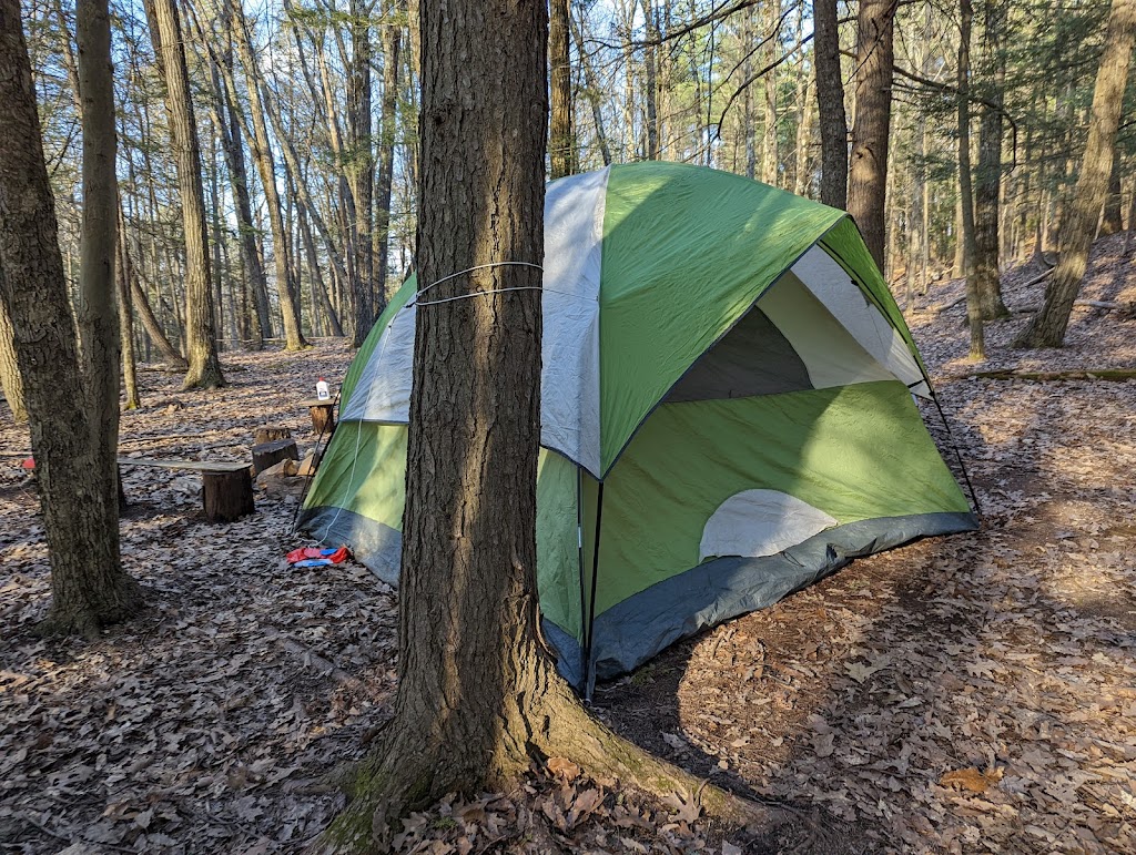 Magic Forest Farm | 134 Bucks Ranch Rd, Coeymans Hollow, NY 12046, USA | Phone: (518) 231-0347