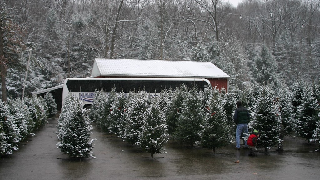 Mytrysak Family Tree Farm and Greenhouse | 1803 Fleming Rd, Indiana, PA 15701, USA | Phone: (724) 463-0570