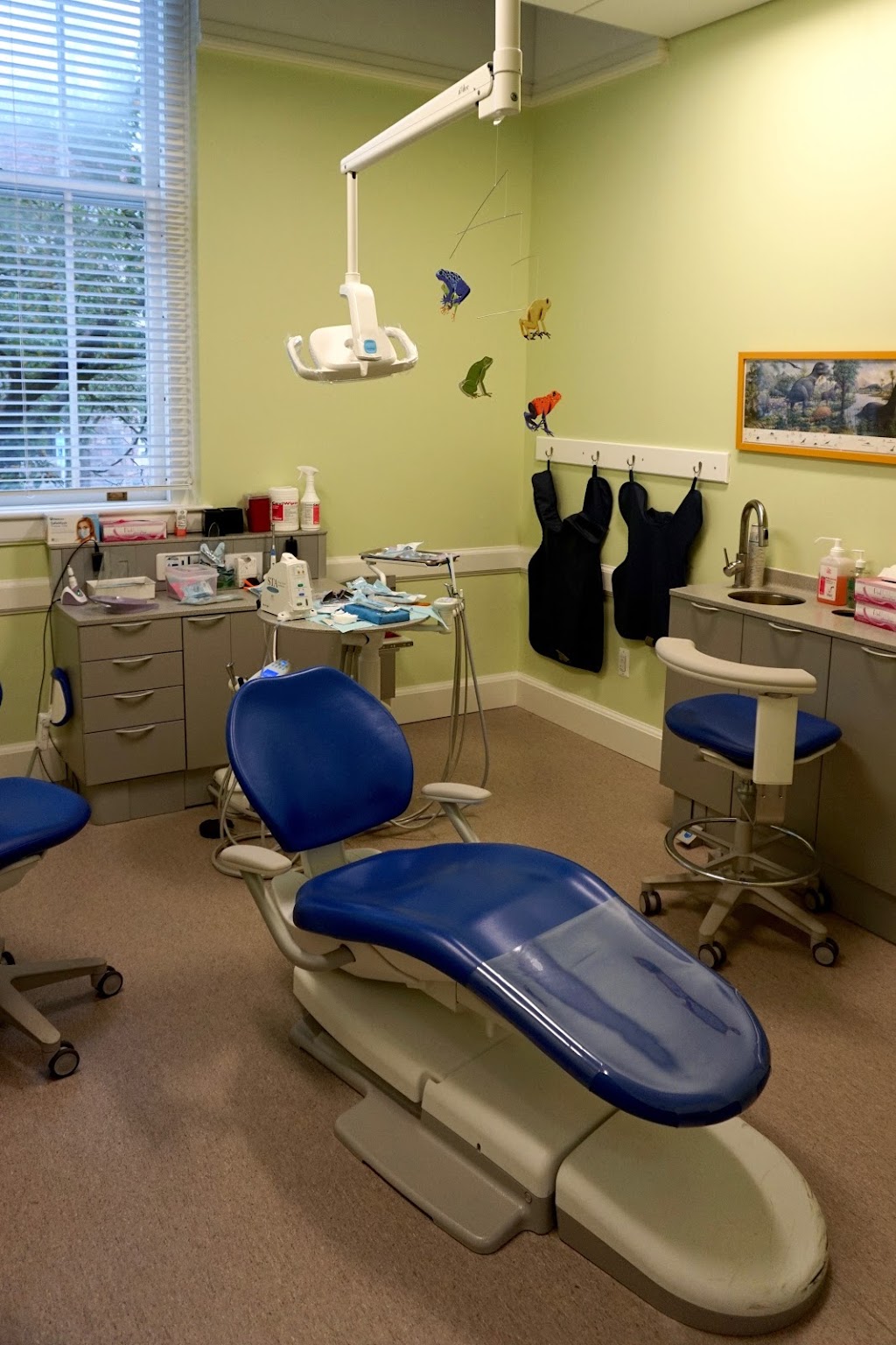 Ann Arbor Pediatric Dentistry | 200 S Main St, Chelsea, MI 48118, USA | Phone: (734) 562-2430