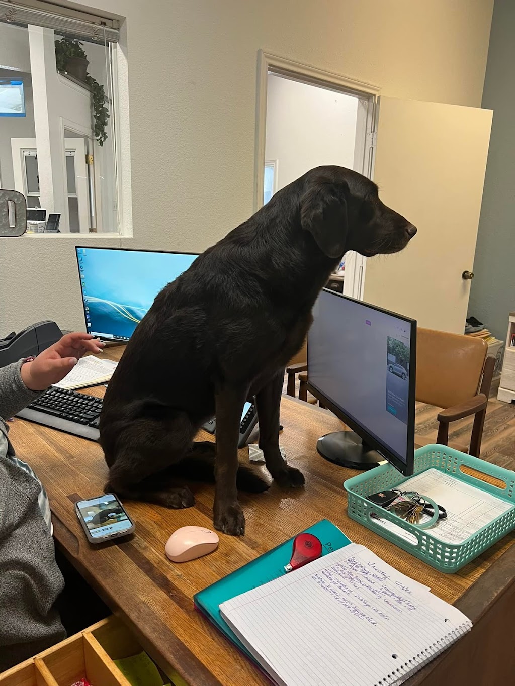 Dr. Luz C. Aguirre, MD - Paz Family HealthCare | 720 Magnolia Ave b1, Corona, CA 92879, USA | Phone: (951) 735-1712 Dr. Luz C. Aguirre, MD - Paz Family HealthCare | 720 Magnolia Ave b1, Corona, CA 92879, USA | Phone: (951) 735-1712