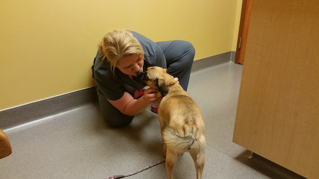 Forest Lake Veterinary Hospital: Rapp Sarah DVM | 19861 Fitzgerald Trail N, Forest Lake, MN 55025 | Phone: (651) 464-2752