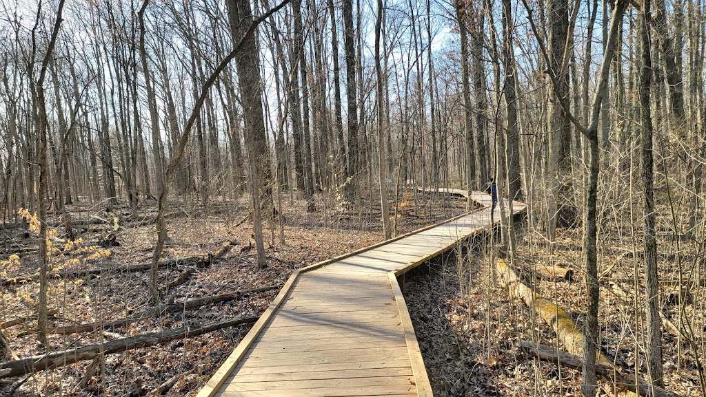 Blacklick Woods Metro Park | 6975 E Livingston Ave, Reynoldsburg, OH 43068, USA | Phone: (614) 861-8759