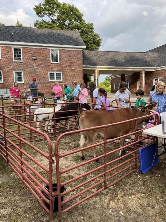 Barefoot Creek Farm Mobile Petting Zoo | 1100 Freedom Lane, Carthage, NC 28327, USA | Phone: (910) 286-9288