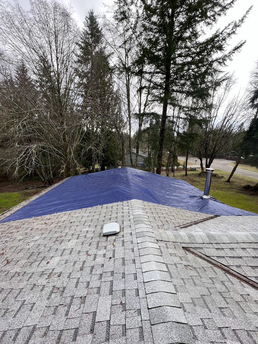 Rigid Roofing & Siding | 1530 Retsil Rd SE, Port Orchard, WA 98366, USA | Phone: (360) 525-9656