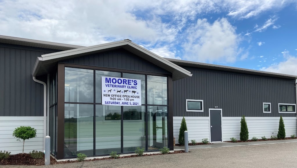 Moores Veterinary Clinic | 231 Industrial Access Rd, Rising Sun, IN 47040, USA | Phone: (812) 438-2207