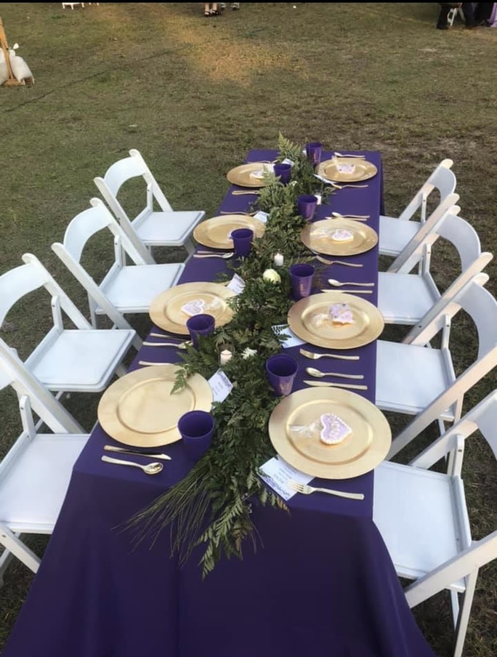 Premier Party Rentals | 553 W Brannen Rd, Lakeland, FL 33813, USA | Phone: (863) 644-3000