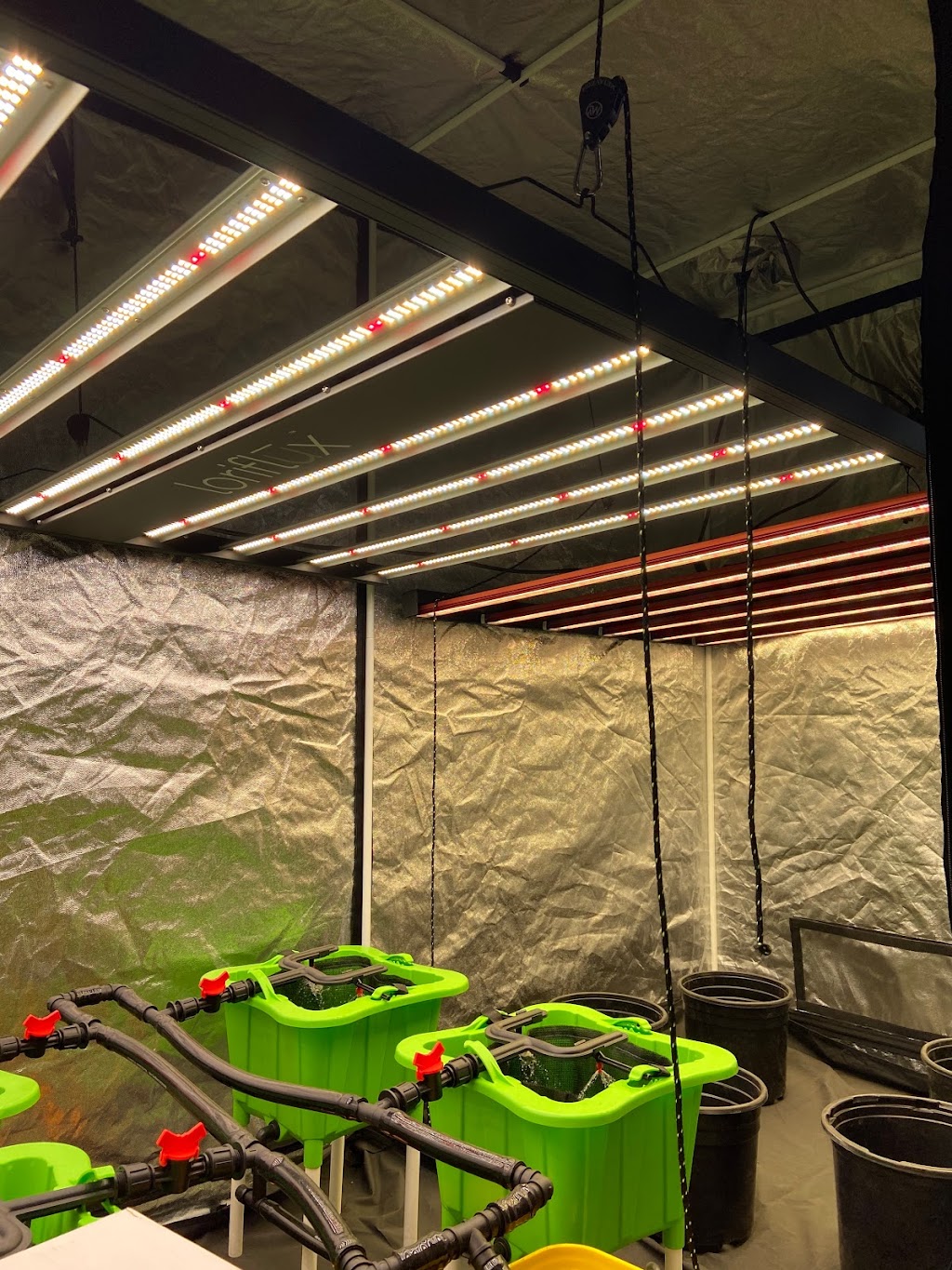Green Zone Hydroponics | 2928 Southwestern Blvd, Orchard Park, NY 14127, USA | Phone: (716) 677-9663