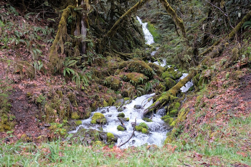 Molalla River Recreation Area | s 97038, 36287 S Dickey Prairie Rd, Molalla, OR 97038, USA | Phone: (503) 375-5646