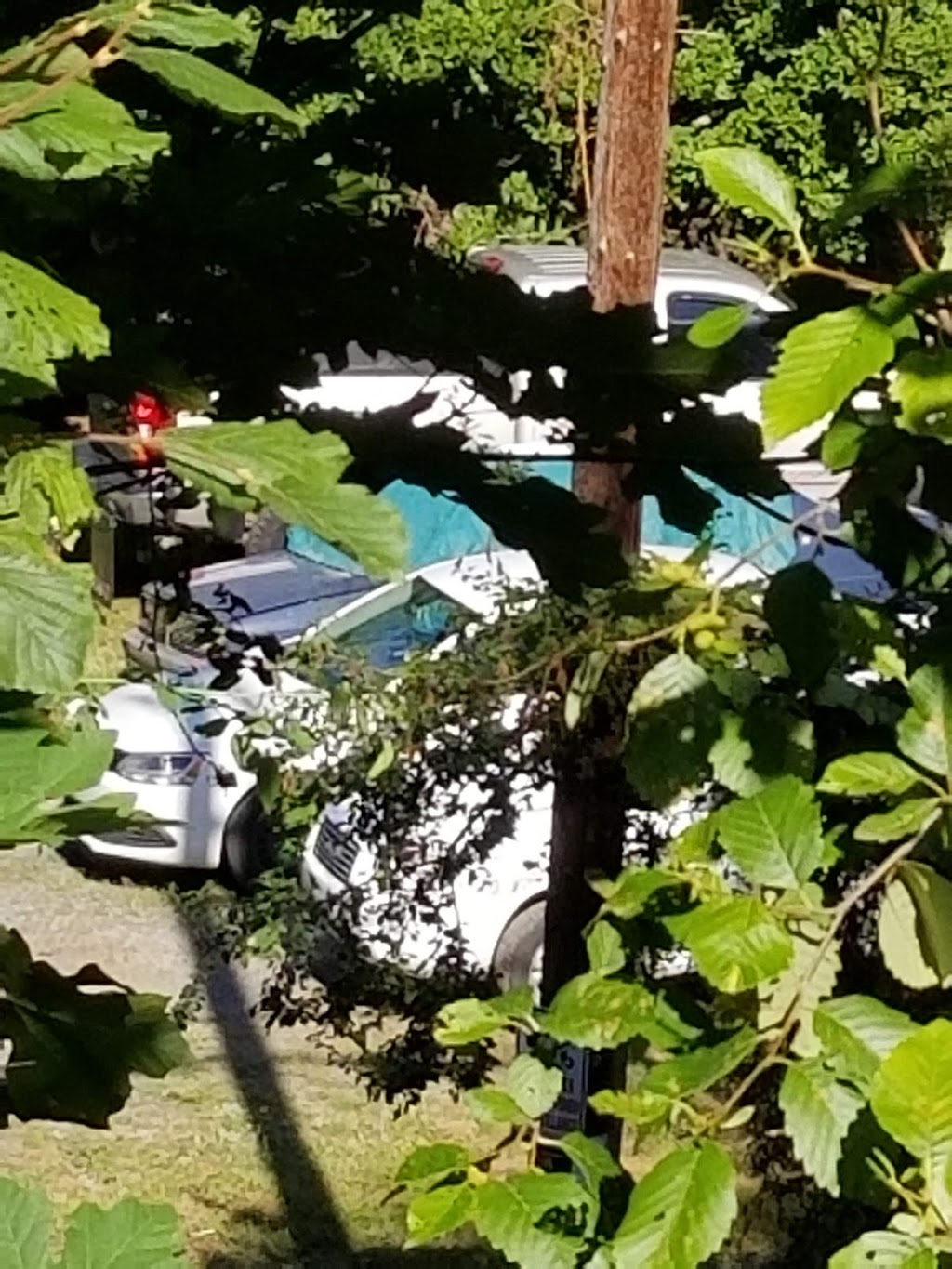 Royal Arch Park | 20821 Renton-Maple Valley Rd, Maple Valley, WA 98038, USA | Phone: (425) 432-2066 Royal Arch Park | 20821 Renton-Maple Valley Rd, Maple Valley, WA 98038, USA | Phone: (425) 432-2066