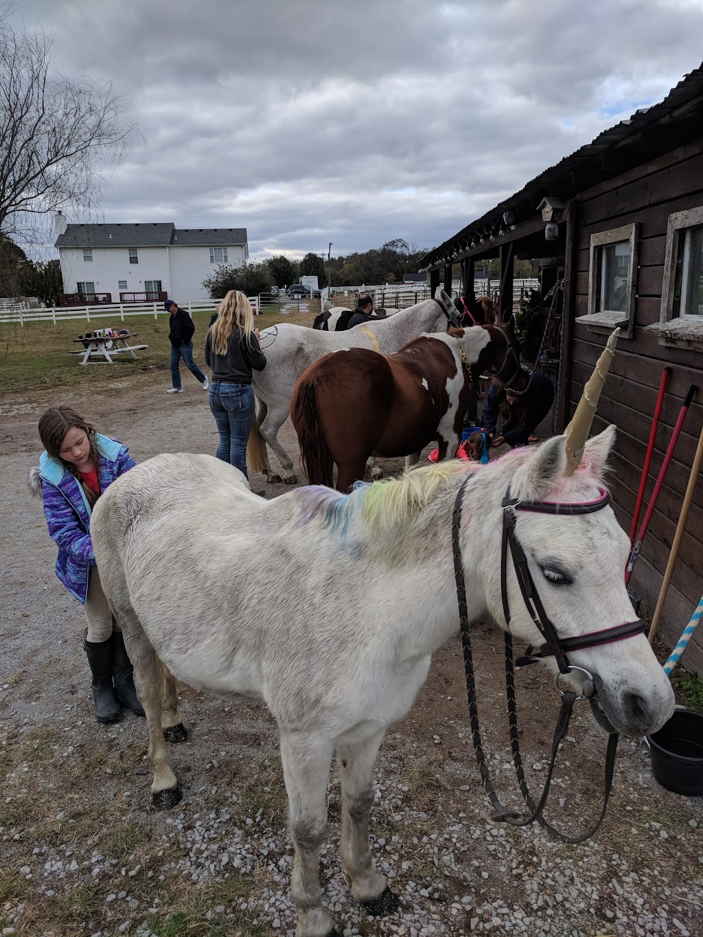 Creekside Riding Academy & Stables | 2359 Lewisburg Pike, Franklin, TN 37064, USA | Phone: (615) 595-7547