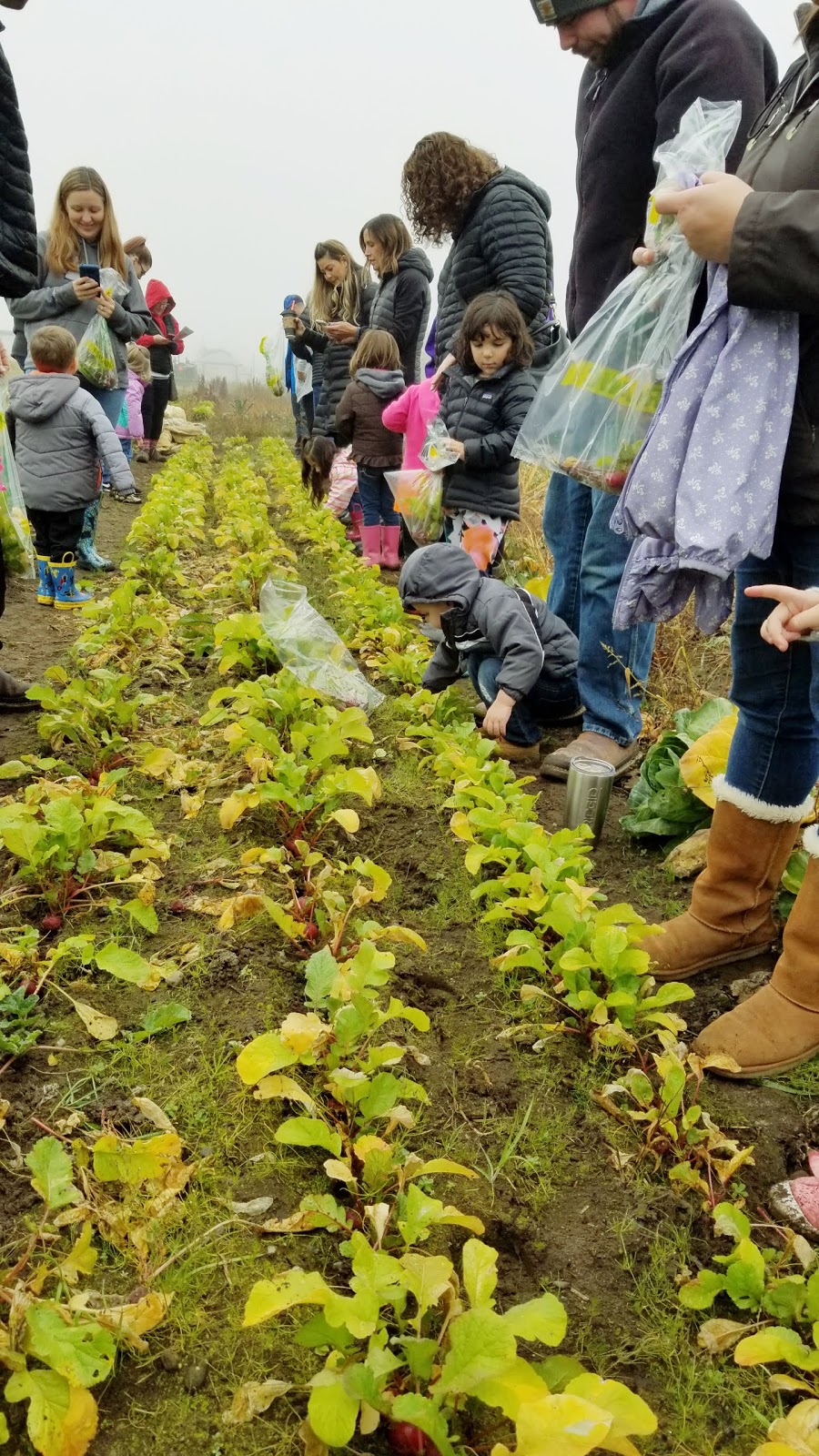 Little Pilgrims Preschool | 10510 136th St E, Puyallup, WA 98374, USA | Phone: (253) 770-1543