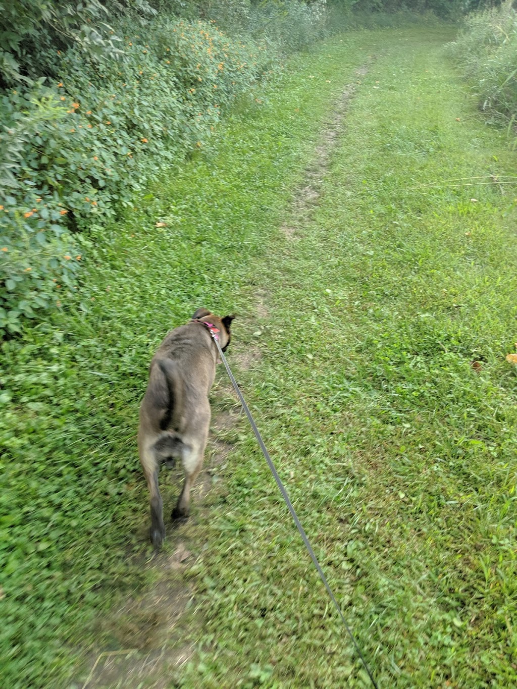 Wetlands Park | 6950 Lesourdsville West Chester Rd, Liberty Township, OH 45011, USA | Phone: (513) 759-7500