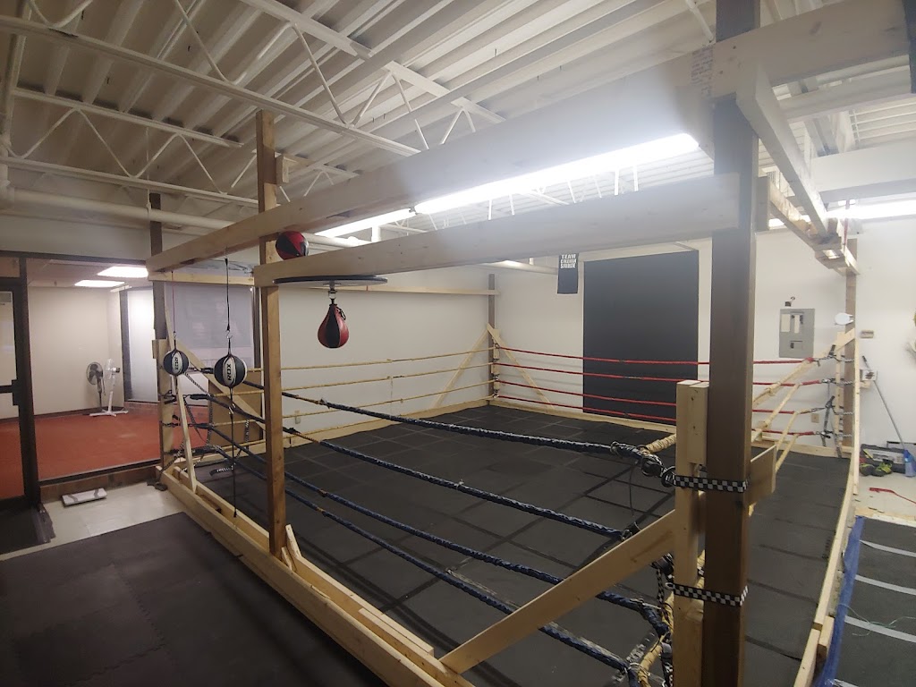 Blue Collar Boxing Academy | 3675 Tecumseh Rd E, Windsor, ON N8W 1H8, Canada | Phone: (519) 991-0055