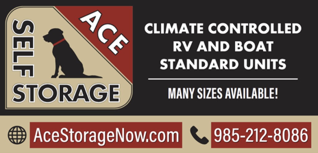 Ace Self Storage | 330 LA-3185, Thibodaux, LA 70301, USA | Phone: (985) 212-8086