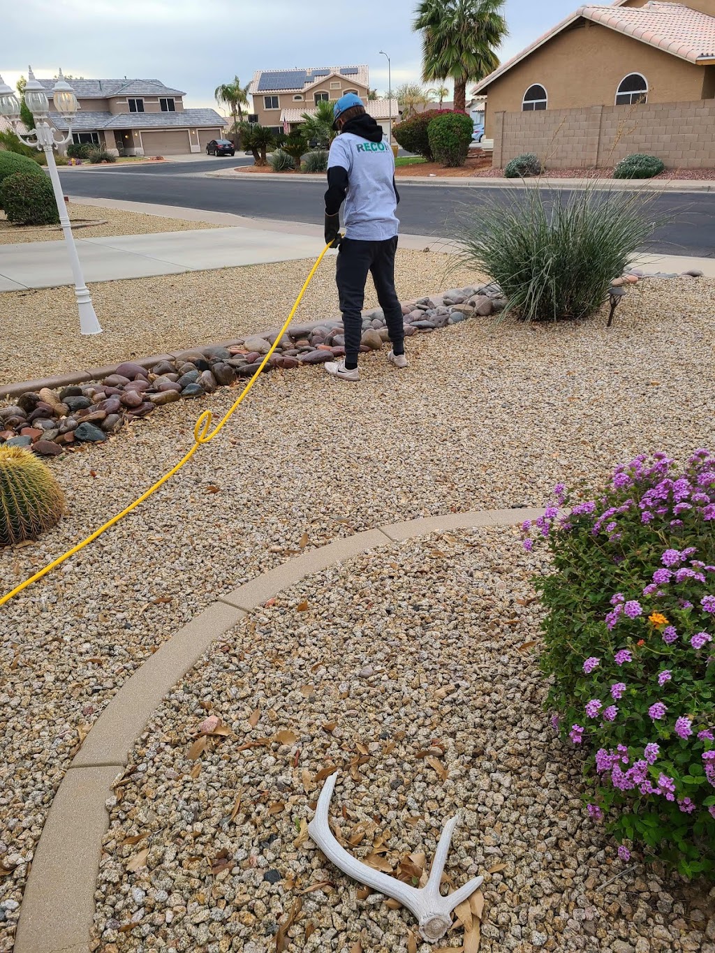 Recon Advanced Pest Control | 3112 N Copenhagen Dr, Avondale, AZ 85392, USA | Phone: (623) 418-1429