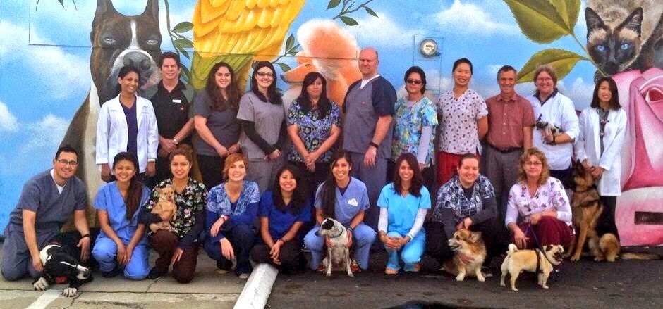 Temple City Animal Hospital | 5406 Rosemead Blvd, San Gabriel, CA 91776, USA | Phone: (626) 287-7387