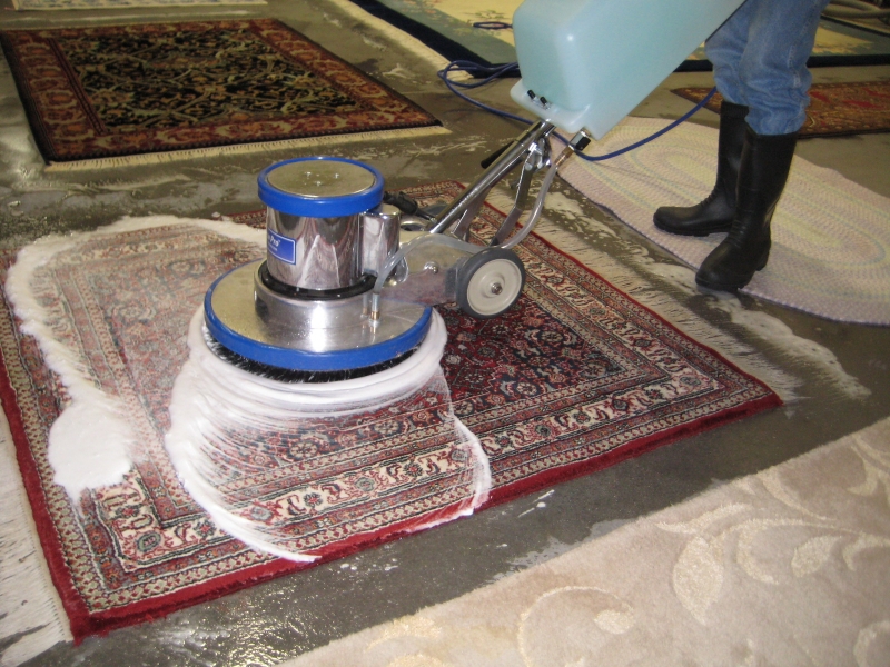 Chris Mean Green Carpet Cleaning | 902 Old Austin Hutto Rd, Pflugerville, TX 78660, USA | Phone: (512) 837-1470