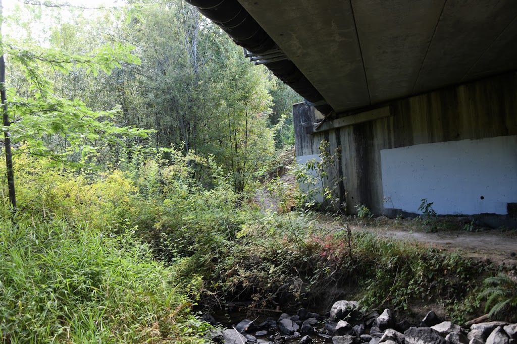 Salish Ponds Wetland Park | 20619 NE Glisan St, Fairview, OR 97024, USA | Phone: (503) 674-6206