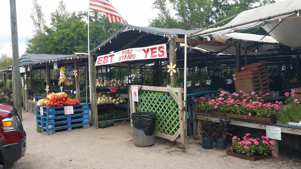 Forbes Road Produce | Exit #17 Off Rt. 4, 1608 Branch Forbes Rd, Plant City, FL 33566 | Phone: (813) 759-2629