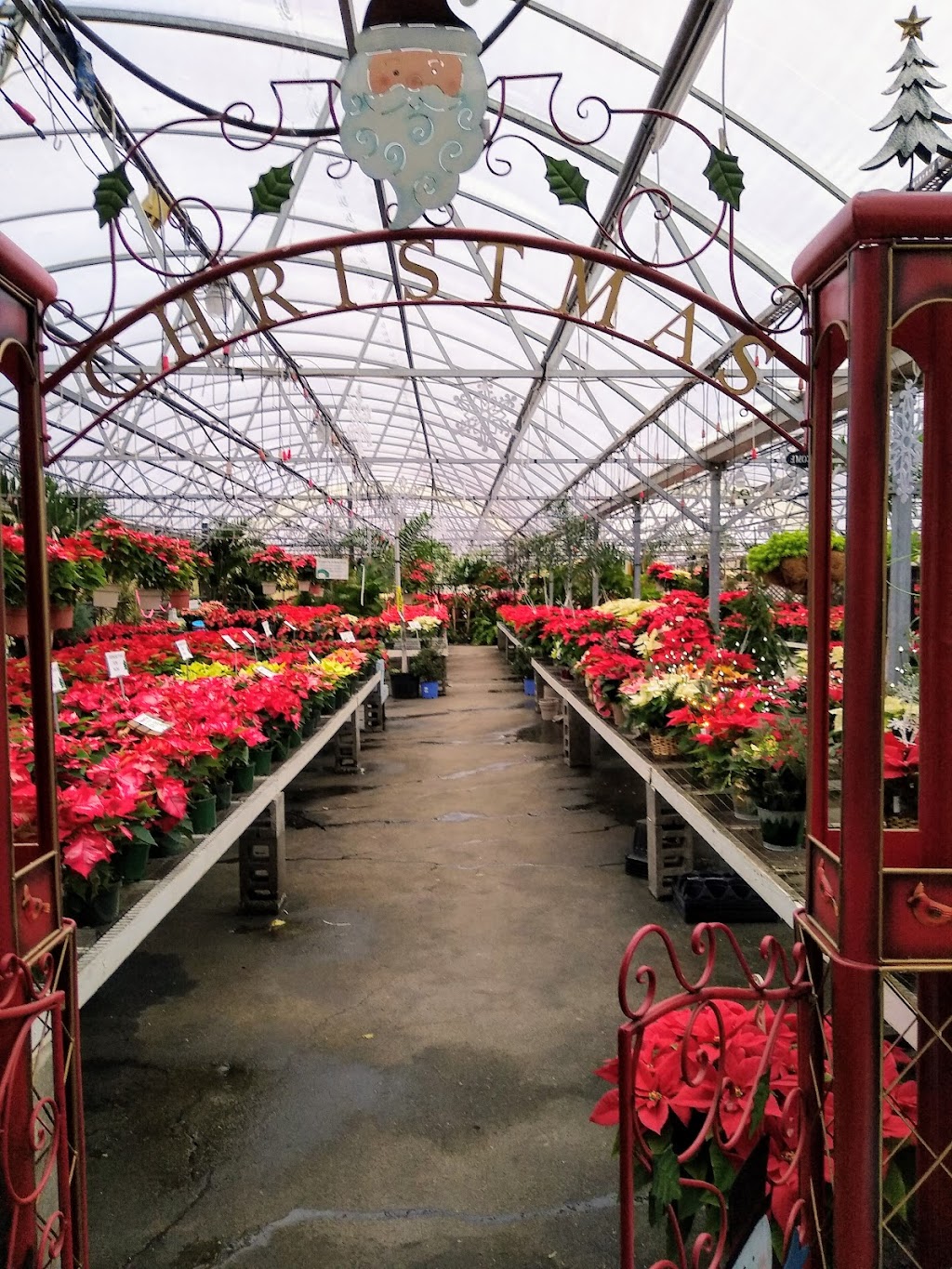 Martin Flowers & Shrubs | 5045 PA-51, Belle Vernon, PA 15012, USA | Phone: (724) 379-4684