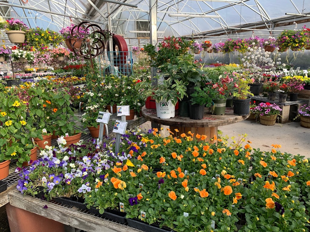 Campbells Nurseries & Garden Centers, Inc. | 2342 S 40th St, Lincoln, NE 68506, USA | Phone: (402) 483-7891