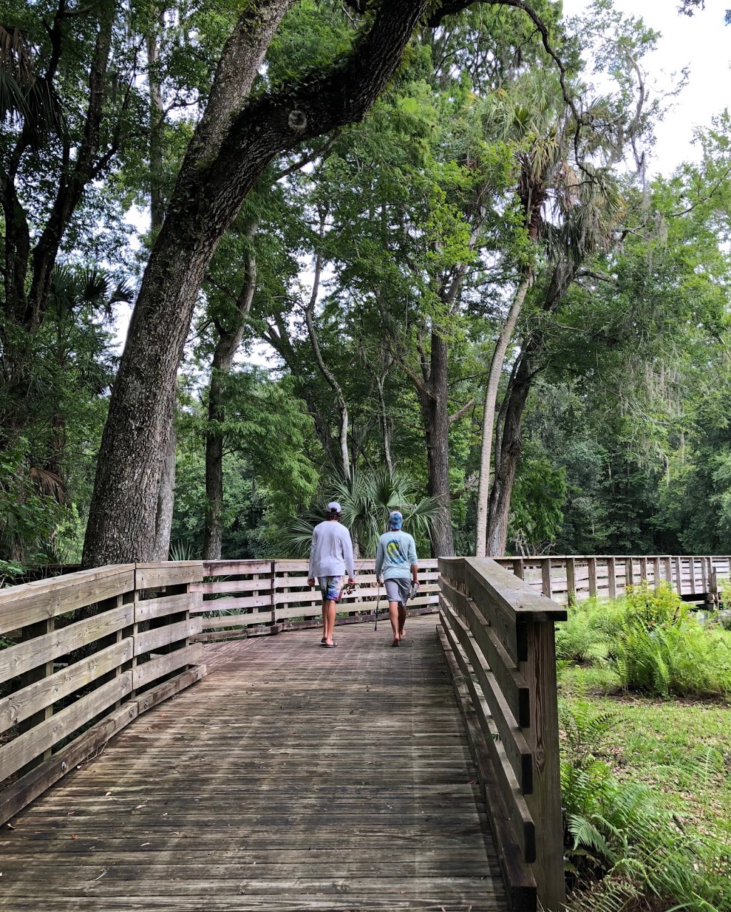 Crystal Springs Preserve | 1609 Crystal Springs Rd, Zephyrhills, FL 33540 | Phone: (813) 715-9707