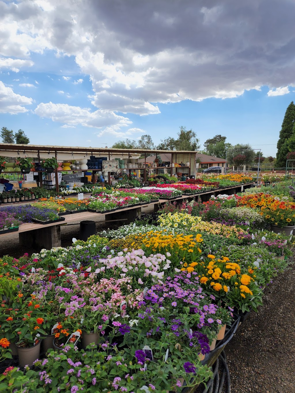 Cherry Valley Nursery And Landscape Supply | 37955 Cherry Valley Blvd, Beaumont, CA 92223, USA | Phone: (951) 845-7045