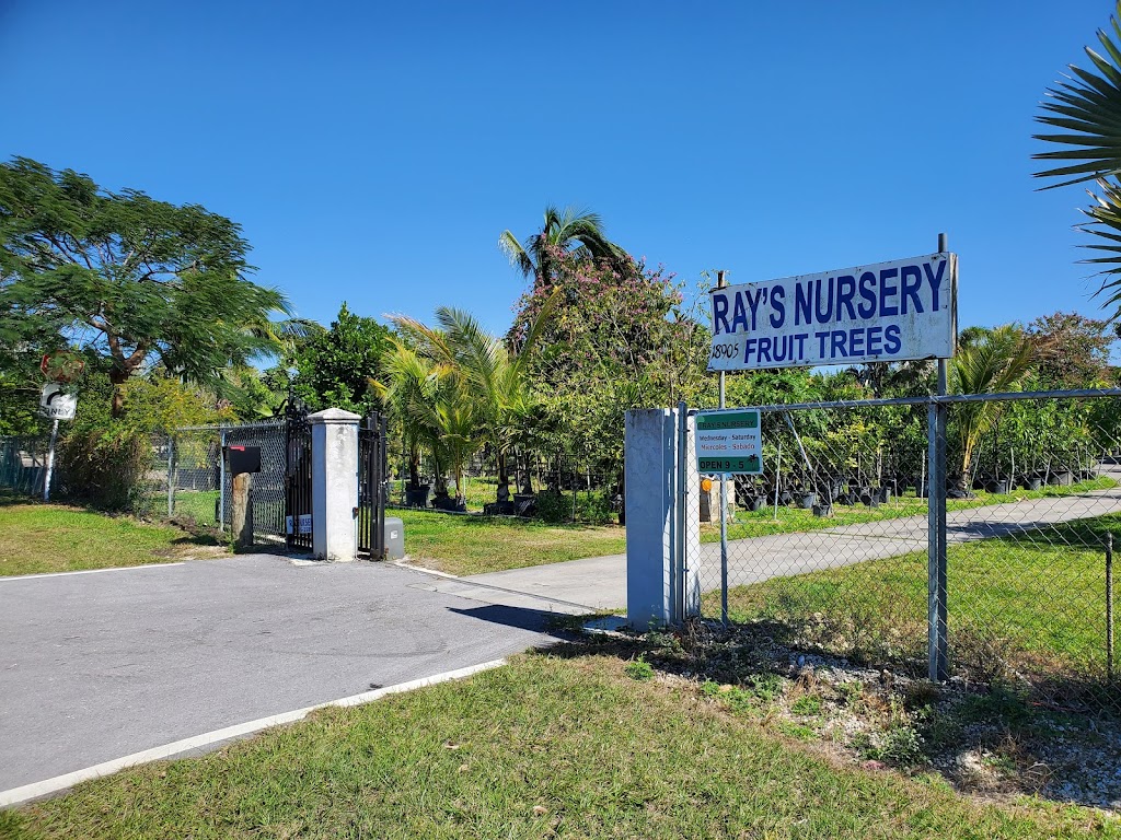 Rays Nursery of Miami | 18905 SW 177th Ave, Miami, FL 33187, USA | Phone: (305) 255-3589