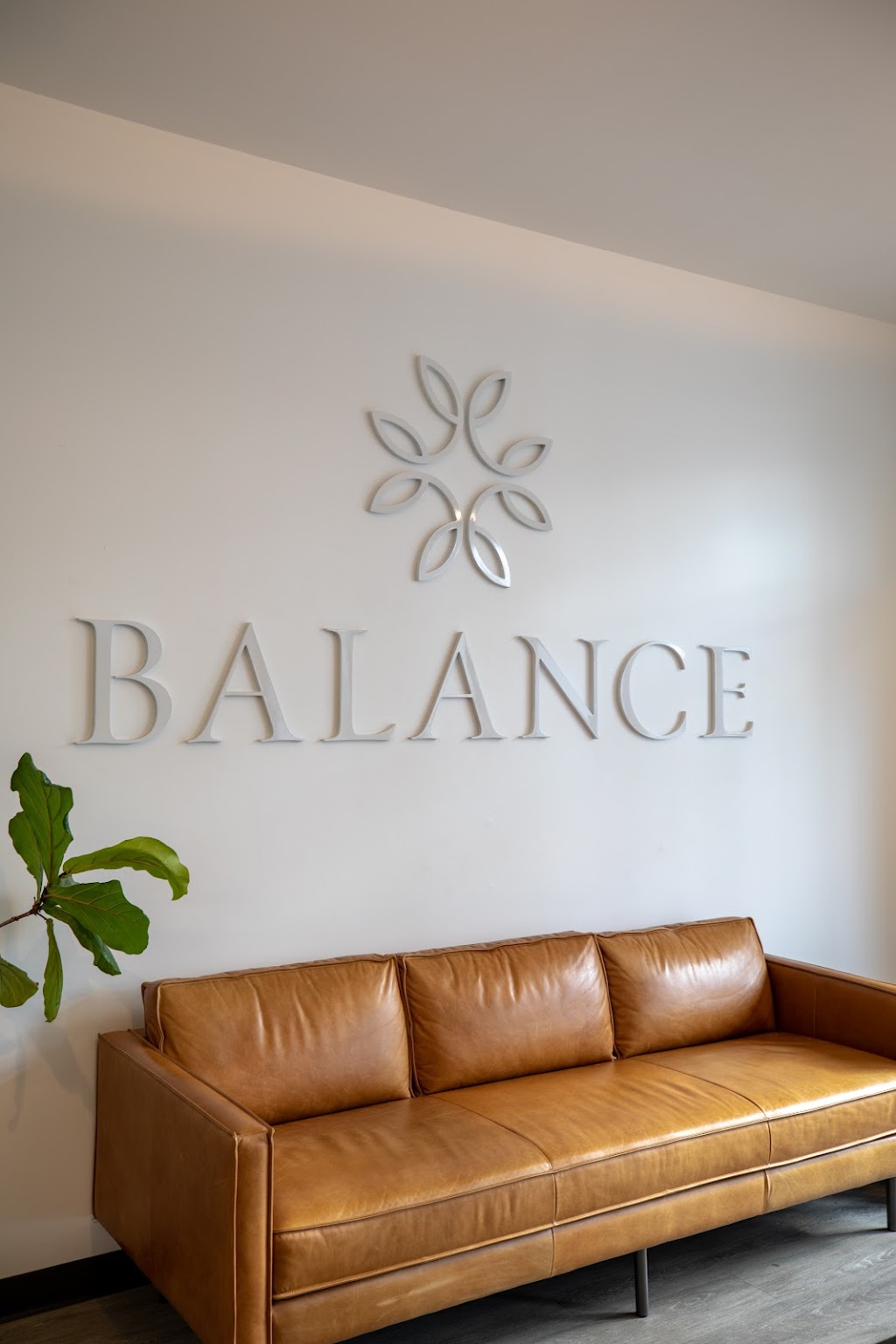 Balance Foot & Ankle - Medina | 4071 N Jefferson St, Medina, OH 44256, USA | Phone: (216) 658-0111