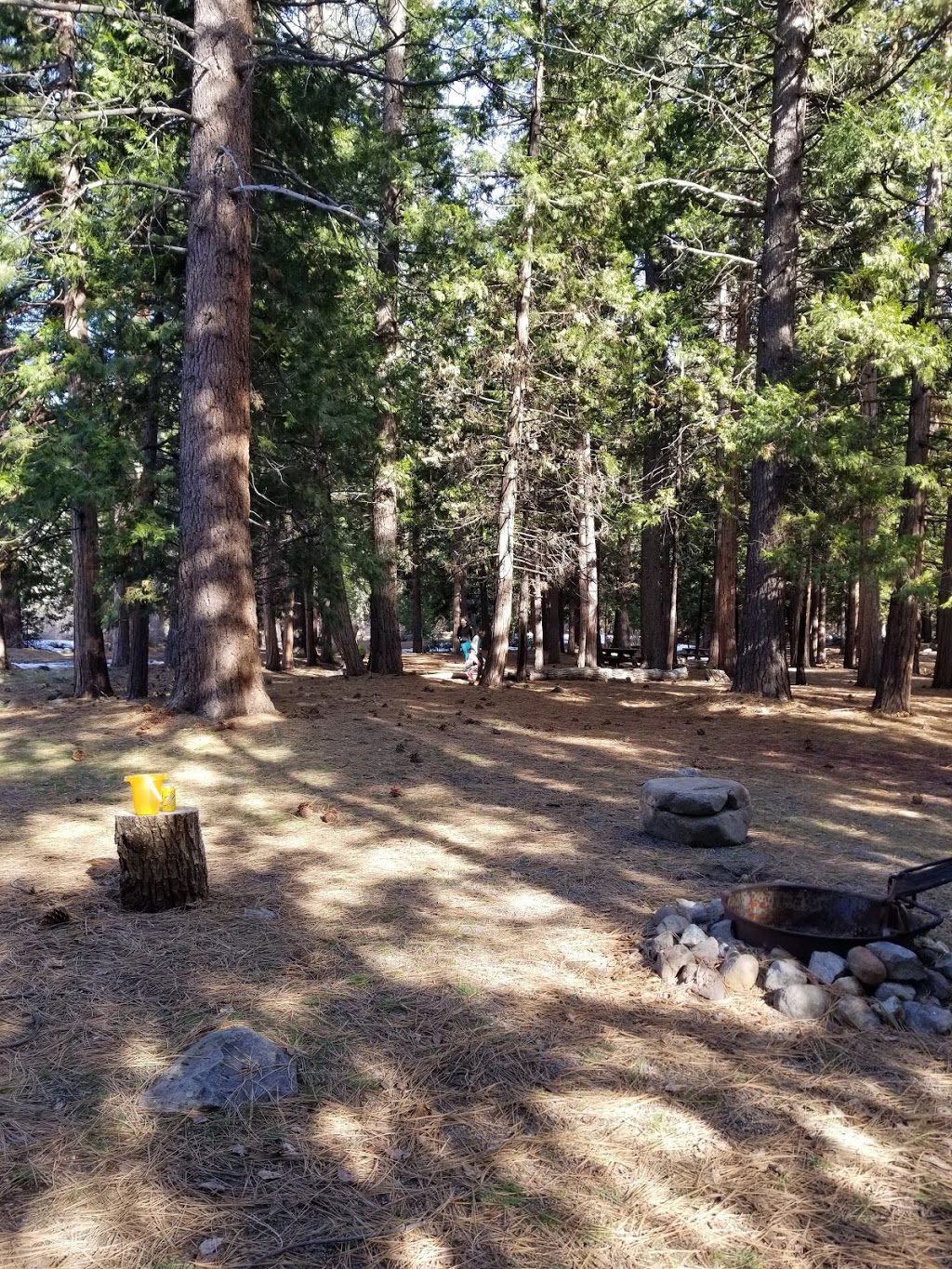 Chilcoot Campground | CA-284, Chilcoot, CA 96105, USA | Phone: (530) 283-2050