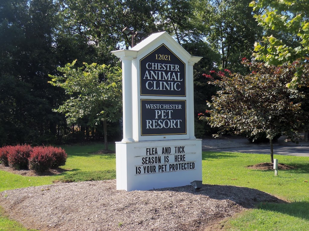 Chester Animal Clinic | 12021 Iron Bridge Rd, Chester, VA 23831 | Phone: (804) 748-2244