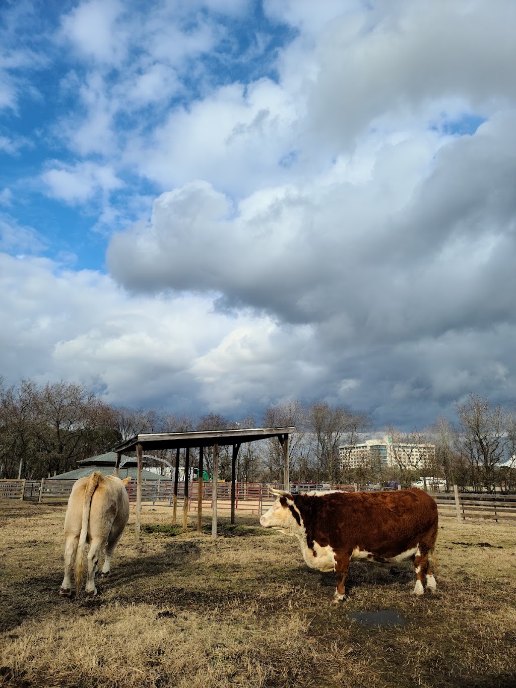 Bluebird Gap Farm | 60 Pine Chapel Rd, Hampton, VA 23669, USA | Phone: (757) 825-4750