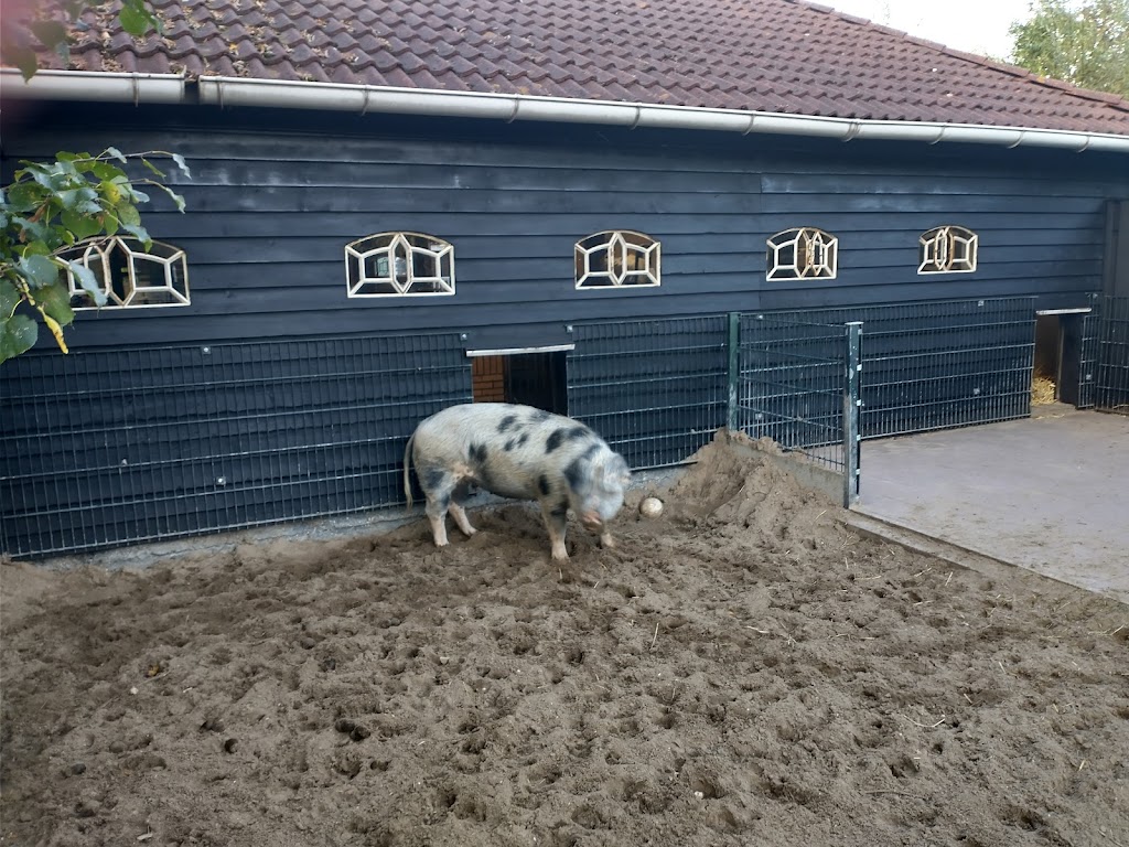 Childrens Farm De Bijlmerweide | Provincialeweg 46-A, 1103 SB Amsterdam-Zuidoost, Netherlands | Phone: 020 695 1149