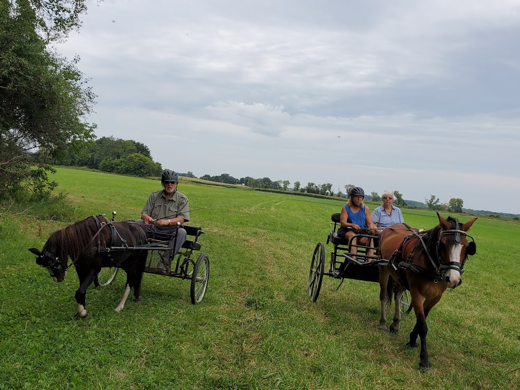 McCarthy Youth & Conservation County Park | 4841 Co Hwy TT, Cottage Grove, WI 53527, USA | Phone: (608) 224-3730