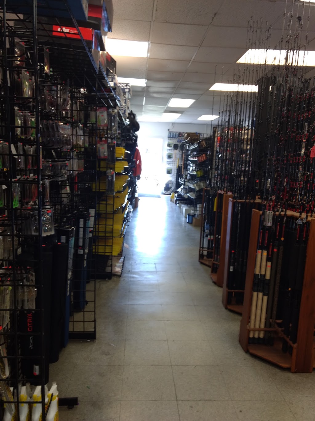 CharkBait | 16561 Bolsa Chica St #105, Huntington Beach, CA 92649, USA | Phone: (877) 424-2751