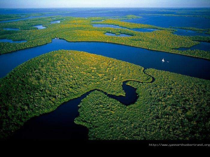 Everglades National Park | Florida, USA | Phone: (305) 242-7700