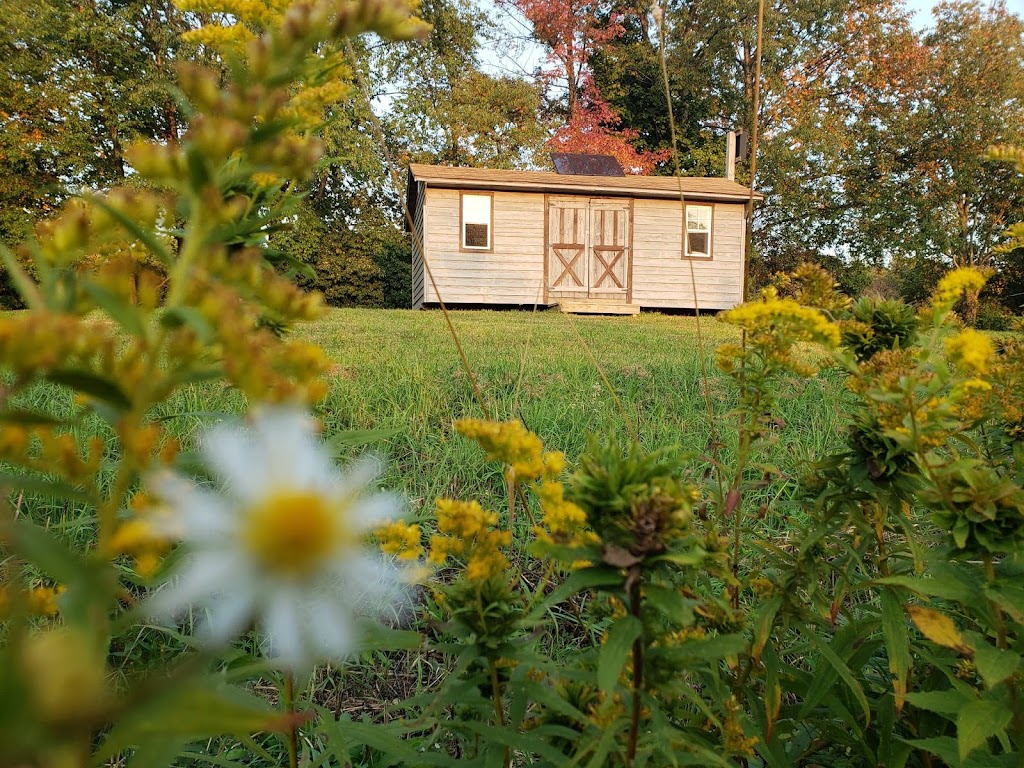 Greystone Nature Preserve | 8531 Bear Lake Rd, Fredonia, NY 14063, USA | Phone: (716) 679-6603