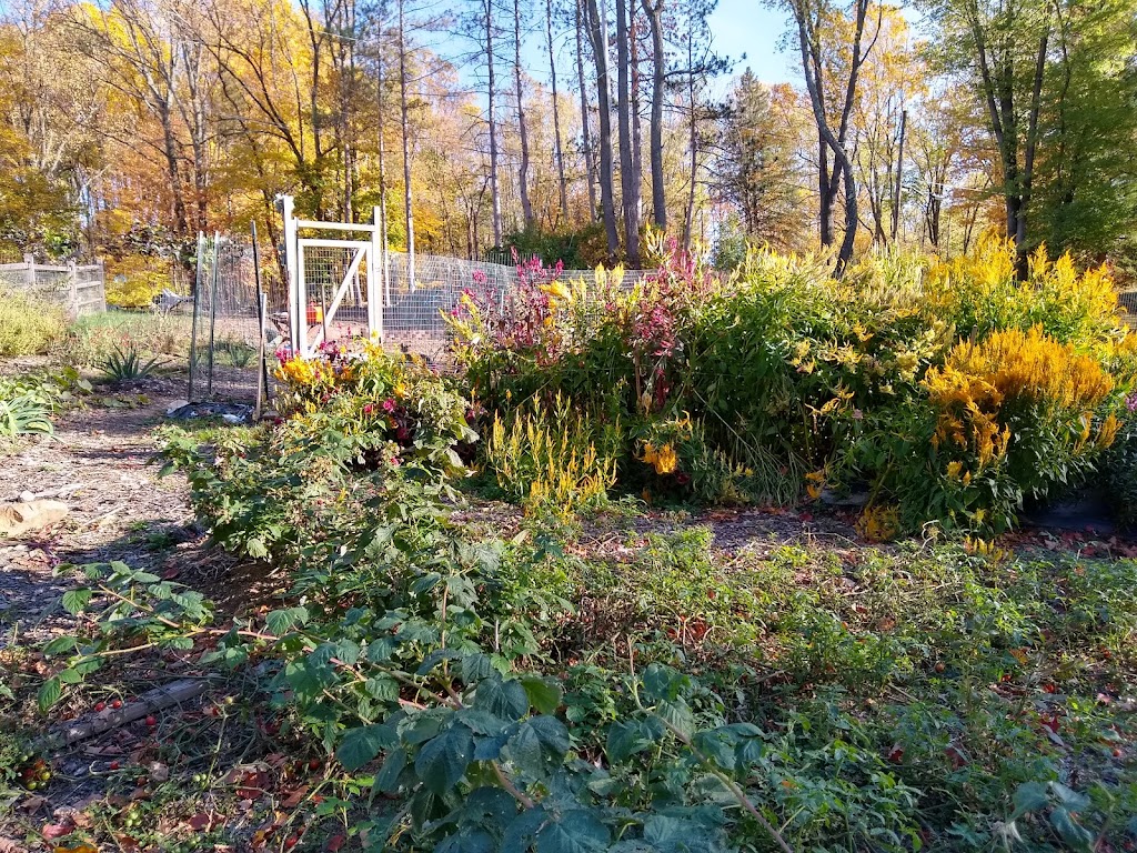 Penn Forest Natural Burial Park | 121 Colorado St, Verona, PA 15147 Mail:, 227 Kansas St, Verona, PA 15147, USA | Phone: (412) 265-4606