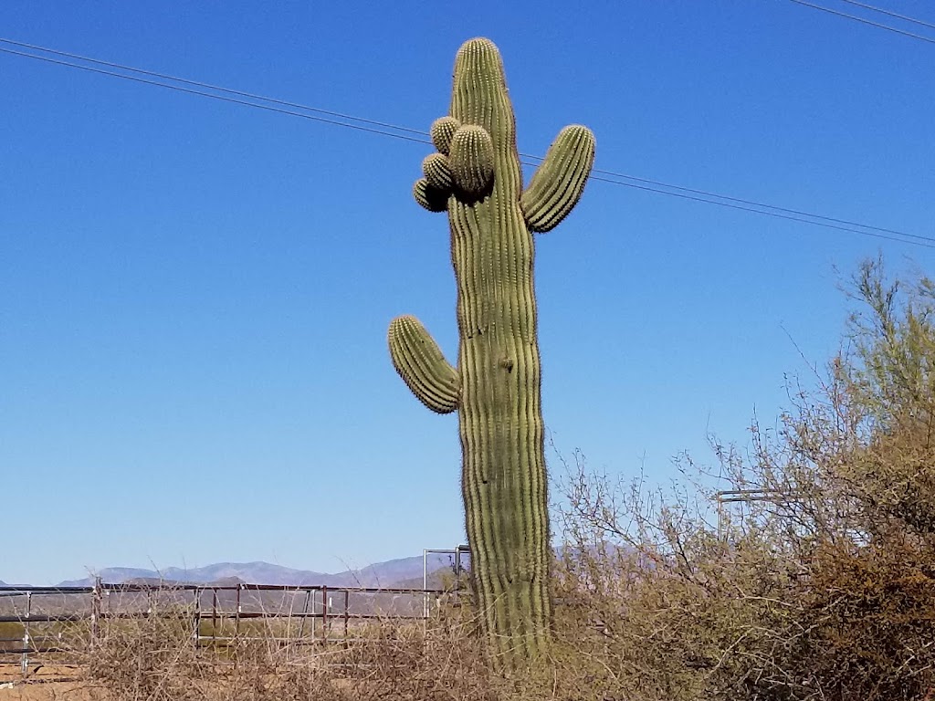 Cave Creek Outfitters | 31313 N 144th St, Scottsdale, AZ 85262, USA | Phone: (480) 471-4635
