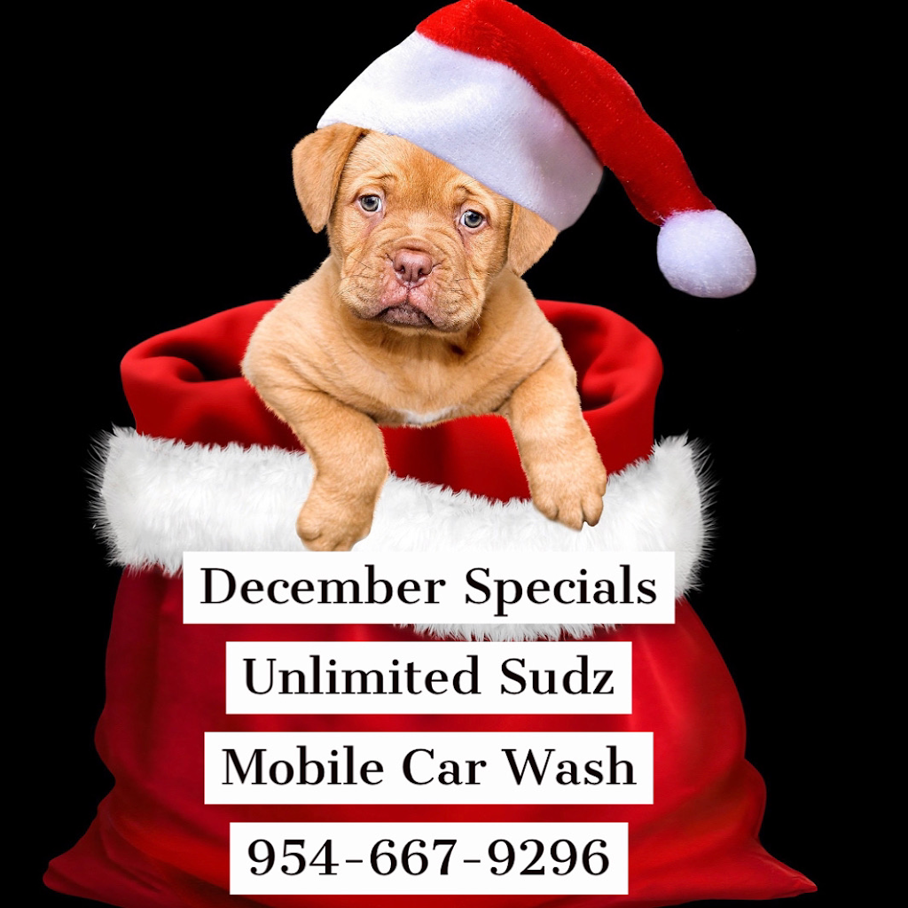 Unlimited Sudz Mobile Detail Services | 1049 NW 81st Terrace, Plantation, FL 33322, USA | Phone: (954) 667-9296