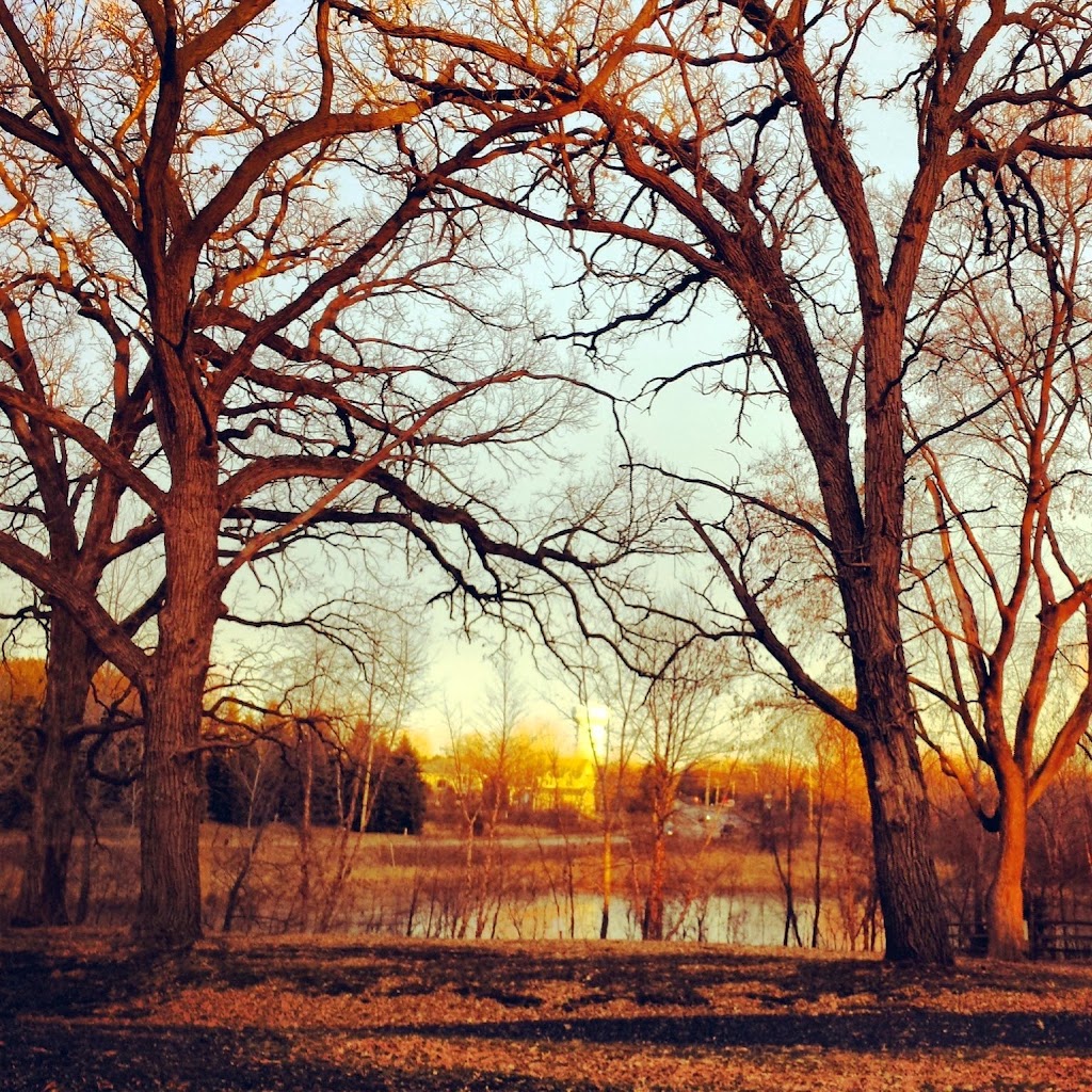 Rice Creek Off-Leash Dog Area | 5959 Lexington Ave N, Shoreview, MN 55126 | Phone: (651) 748-2500