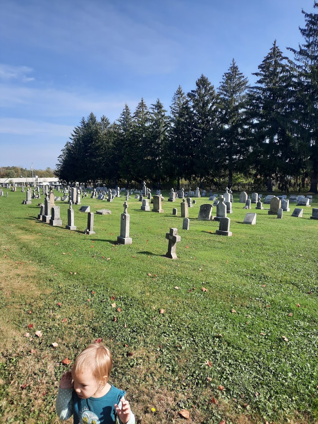 Saint Josephs Cemetery | 1301 E State St, Alliance, OH 44601, USA | Phone: (330) 821-5760