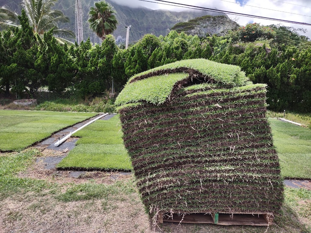 Quality Turfgrass | 41-951 Waikupanaha St, Waimanalo, HI 96795, USA | Phone: (808) 259-8191