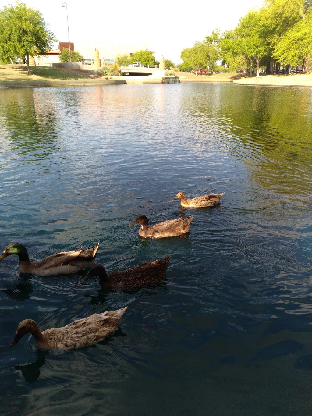 Rio Vista Community Park | 8866 W Thunderbird Rd, Peoria, AZ 85381, USA | Phone: (623) 773-8600