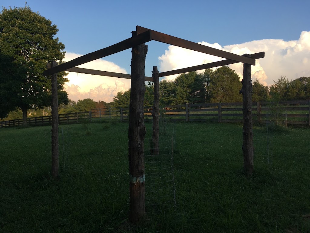 Cool Creek Farm | 738 Castle Rock Farm Rd, Pittsboro, NC 27312, USA | Phone: (919) 542-3862