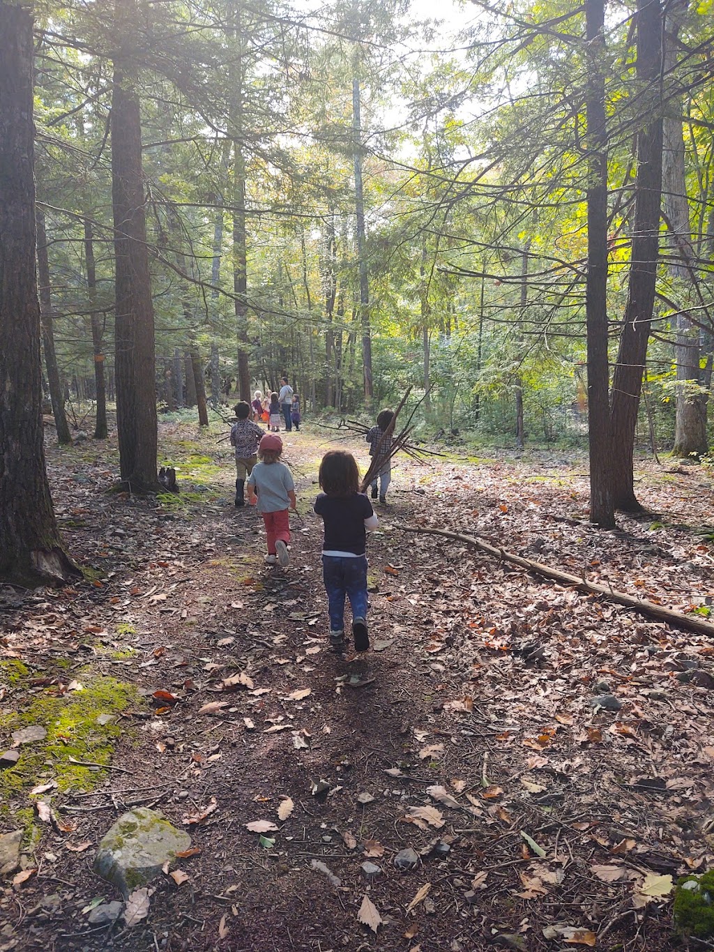 Mountaintop Waldorf School | 68 Band Camp Rd, Saugerties, NY 12477, USA | Phone: (845) 247-3707