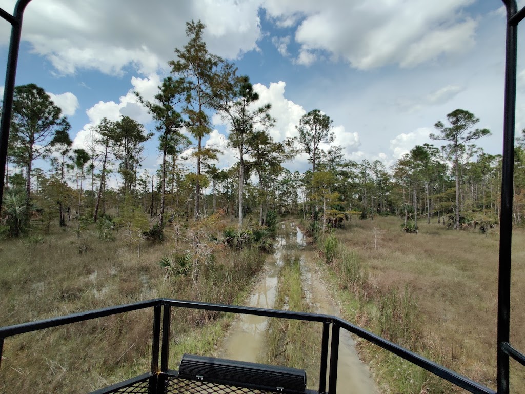 Everglades Swamp Buggy Adventure | 50910 Tamiami Trail E, Ochopee, FL 34141, USA | Phone: (239) 825-5762
